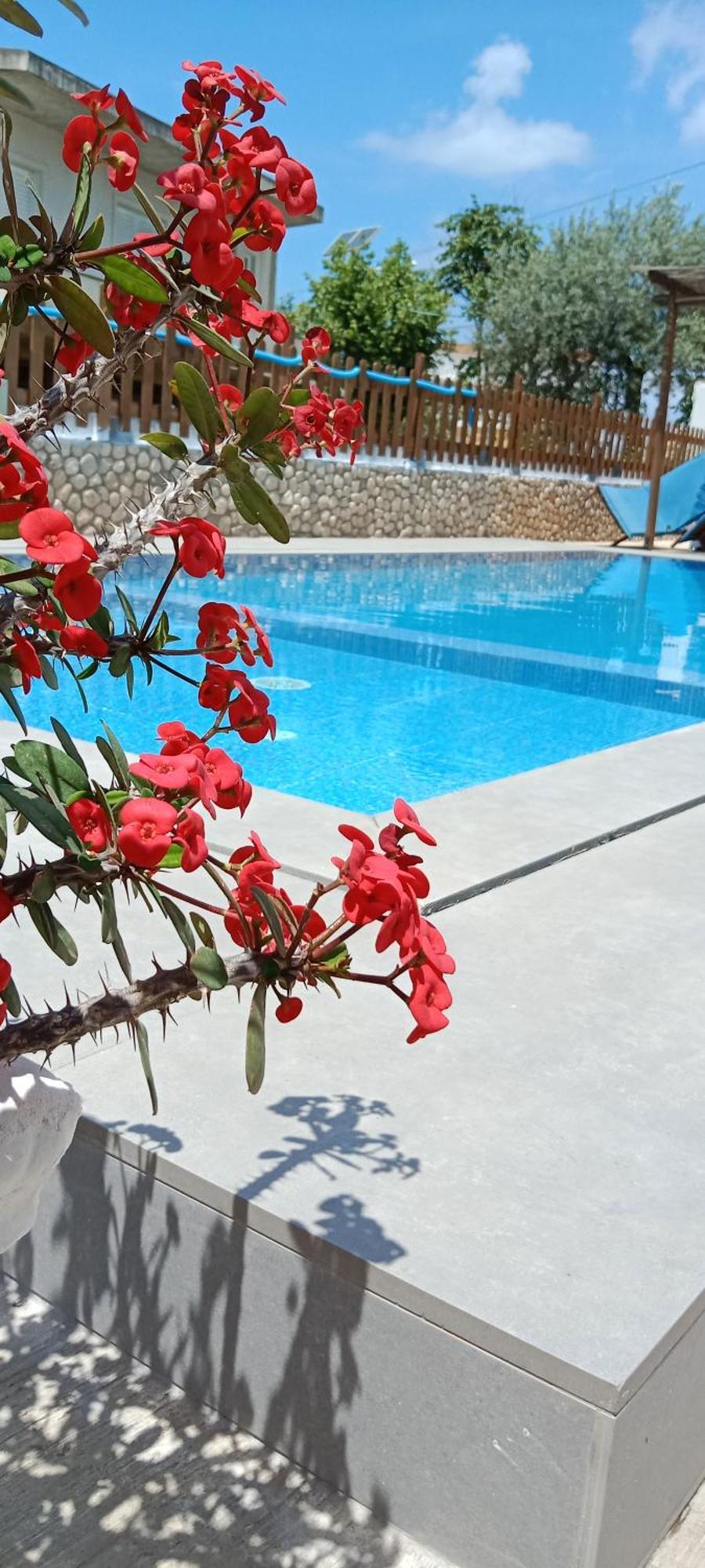 Hotel Villa Ruci Ksamil Bilik gambar